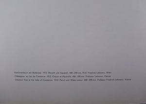 Egon Schiele - "Kastanienbaum am Bodensee 1912" Ausgabe 1948 kopen? Bied vanaf 75!