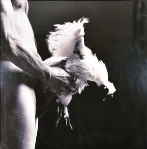 Paul Blanca - Self portrait - Chickenfucker kopen? Bied vanaf 100!