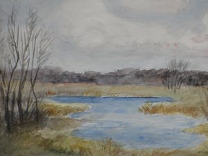 Han Krug - Natuurreservaat Voorne - Gemengde techniek kopen? Bied vanaf 30!
