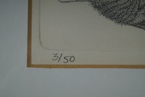 Ella van Schaik - slapende kitten kopen? Bied vanaf 15!