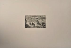 Willem de Zwart - In de stal kopen? Bied vanaf 35!