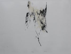 Armando - ingelijste litho: Der Baum (mooie houten lijst) kopen? Bied vanaf 250!