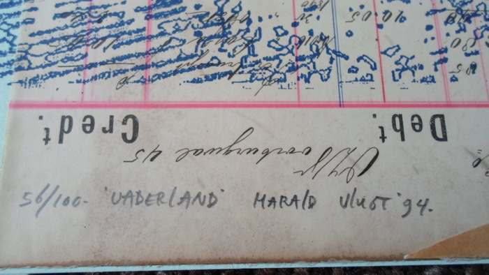 Harald Vlugt - Vaderland kopen? Bied vanaf 25!