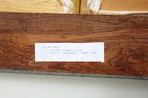 Samba Fall - Fantaisie de voyage kopen? Bied vanaf 750!