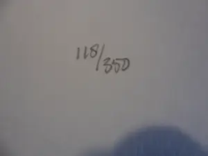 Herman Brood - Kleurenzeefdruk. Titel, En een botje voor de hond. kopen? Bied vanaf 50!