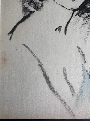Kees van Dongen - Portrait de Femme 1925 kopen? Bied vanaf 795!