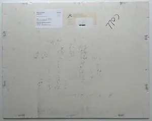 Mies de Roos - 'Schimmel' kopen? Bied vanaf 1!