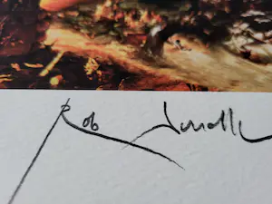 Rob Scholte - Apres nous le deluge kopen? Bied vanaf 70!