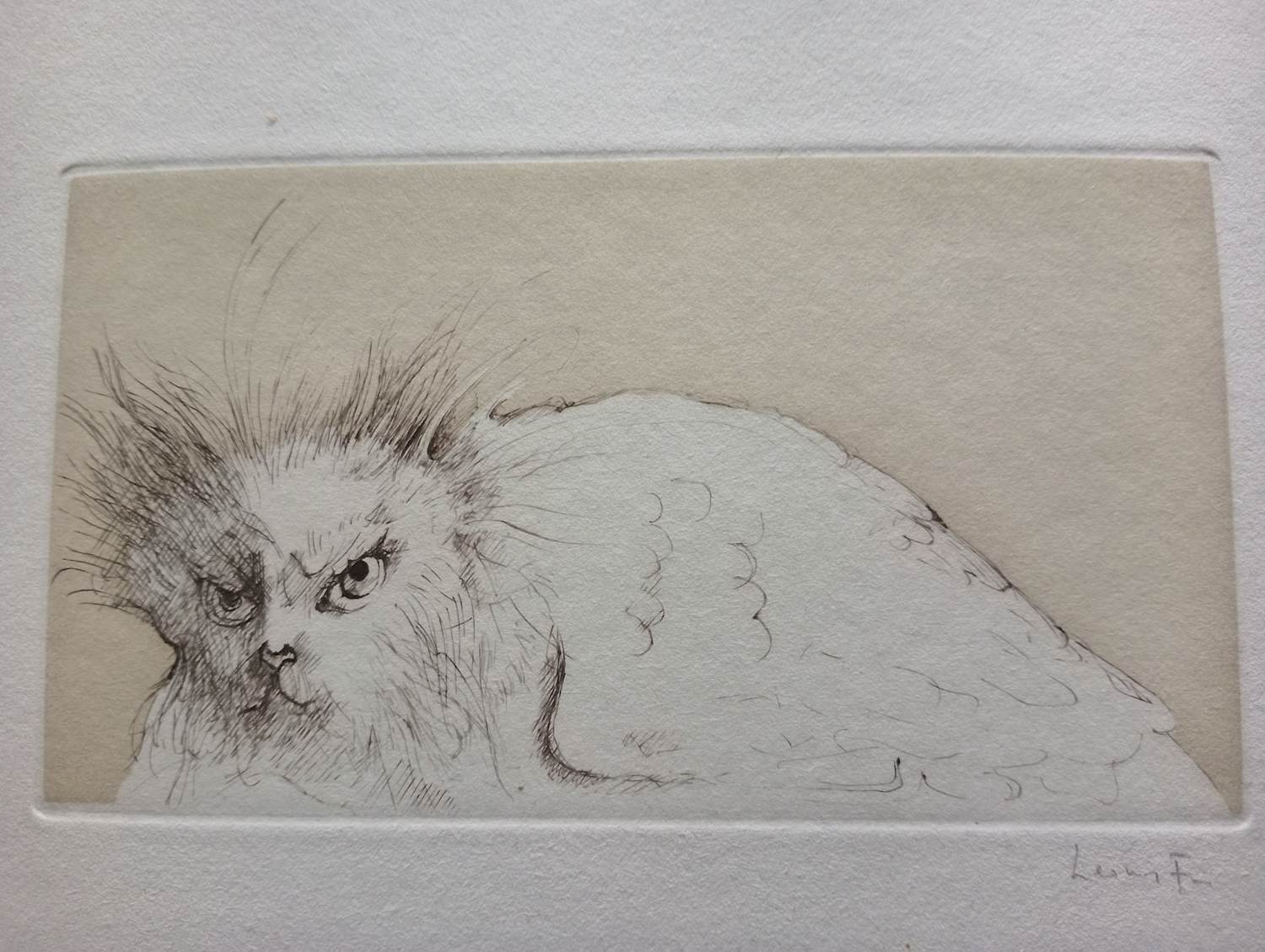 Leonor Fini - Leonor Fini Ets Le Borakoma Surrealisme 1975 kopen? Bied vanaf 75!