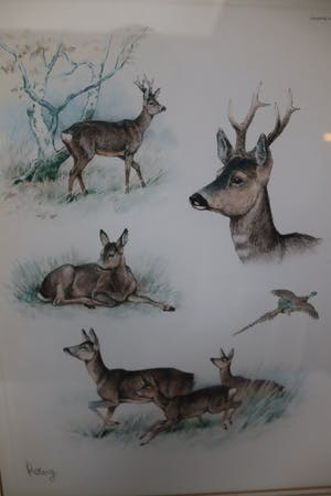 George Frederic Rotig - Cerf avec chevreuil et faisan kopen? Bied vanaf 50!