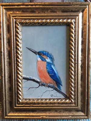 Henk Poeder - Ysvogeltje kopen? Bied vanaf 55!