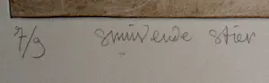 Ronald Tolman - Ets: snuivende stier - 1979 kopen? Bied vanaf 125!