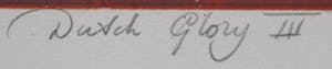 Hans Dolieslager - Zeefdruk: Dutch glory III - 2001 (keurige lijst!) kopen? Bied vanaf 55!