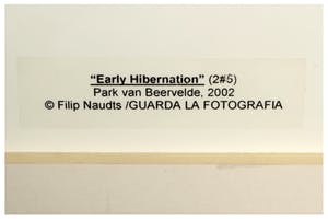 Filip Naudts - Early Hibernation kopen? Bied vanaf 15!