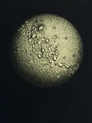 Dieter Asmus - Fünf Mondphasen kopen? Bied vanaf 100!