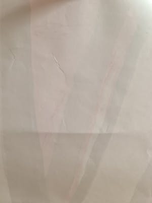 Bram van Velde - Litho - gesigneerd - E/A kopen? Bied vanaf 1!