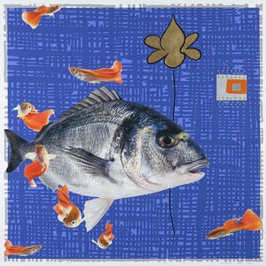 Mark Verdoes - Handbewerkte giclée, Trouble in paradise I - Ingelijst kopen? Bied vanaf 1!