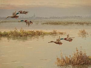 Gien Brouwer - Plasgezicht met vliegende eenden in avondrood kopen? Bied vanaf 235!