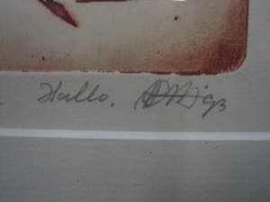 Niet of onleesbaar gesigneerd - gesigneerde, handgekleurde, kleine oplage Ets "Hallo" fraai ingelijst. kopen? Bied vanaf 1!