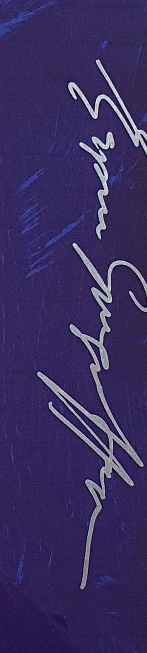 Herman Brood - Espen Hagen - indianen - gesigneerd - 99 ex. - ingelijst kopen? Bied vanaf 195!