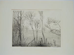 Charles Donker - Winterlanschap in Rhijnauwen, snel dalende kauwen kopen? Bied vanaf 200!