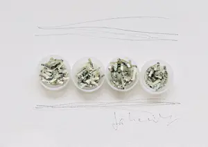 Jan Henderikse - Shredded dollar bills in tubes kopen? Bied vanaf 325!