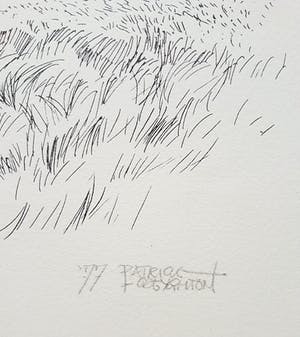 Patrick Creyghton - Gestutte boom, litho kopen? Bied vanaf 50!