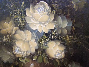 Robert Cox - Witte rozen. kopen? Bied vanaf 50!