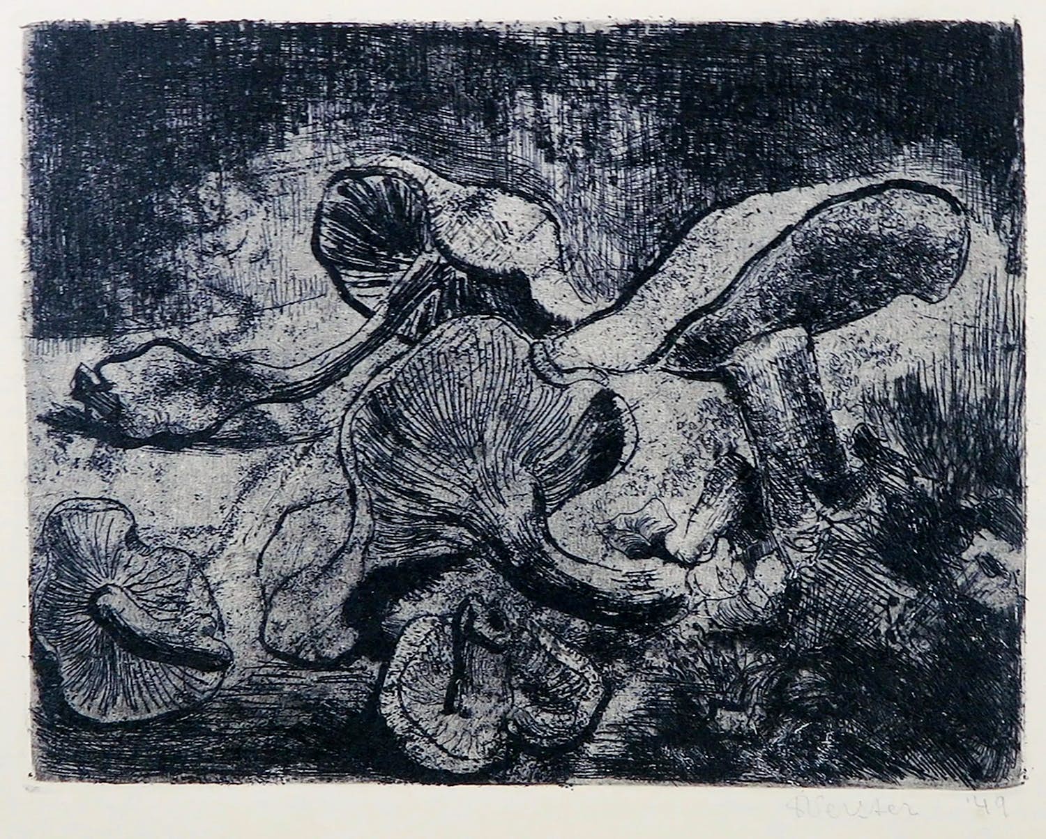 Niet of onleesbaar gesigneerd - Ets, Paddenstoelen kopen? Bied vanaf 1!