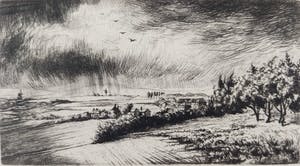 Hans van Dokkum - Regenbui kopen? Bied vanaf 25!