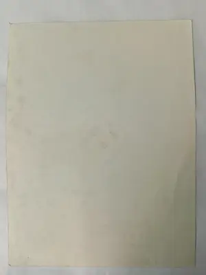 Corneille - 1986 - Vrouw En Vogel: Dansen In De Zon kopen? Bied vanaf 199!