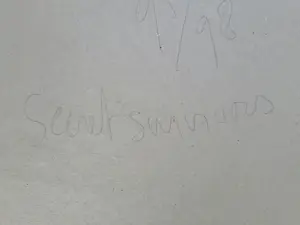 Frank van Hemert - Secret Survivors (2 stuks) kopen? Bied vanaf 175!