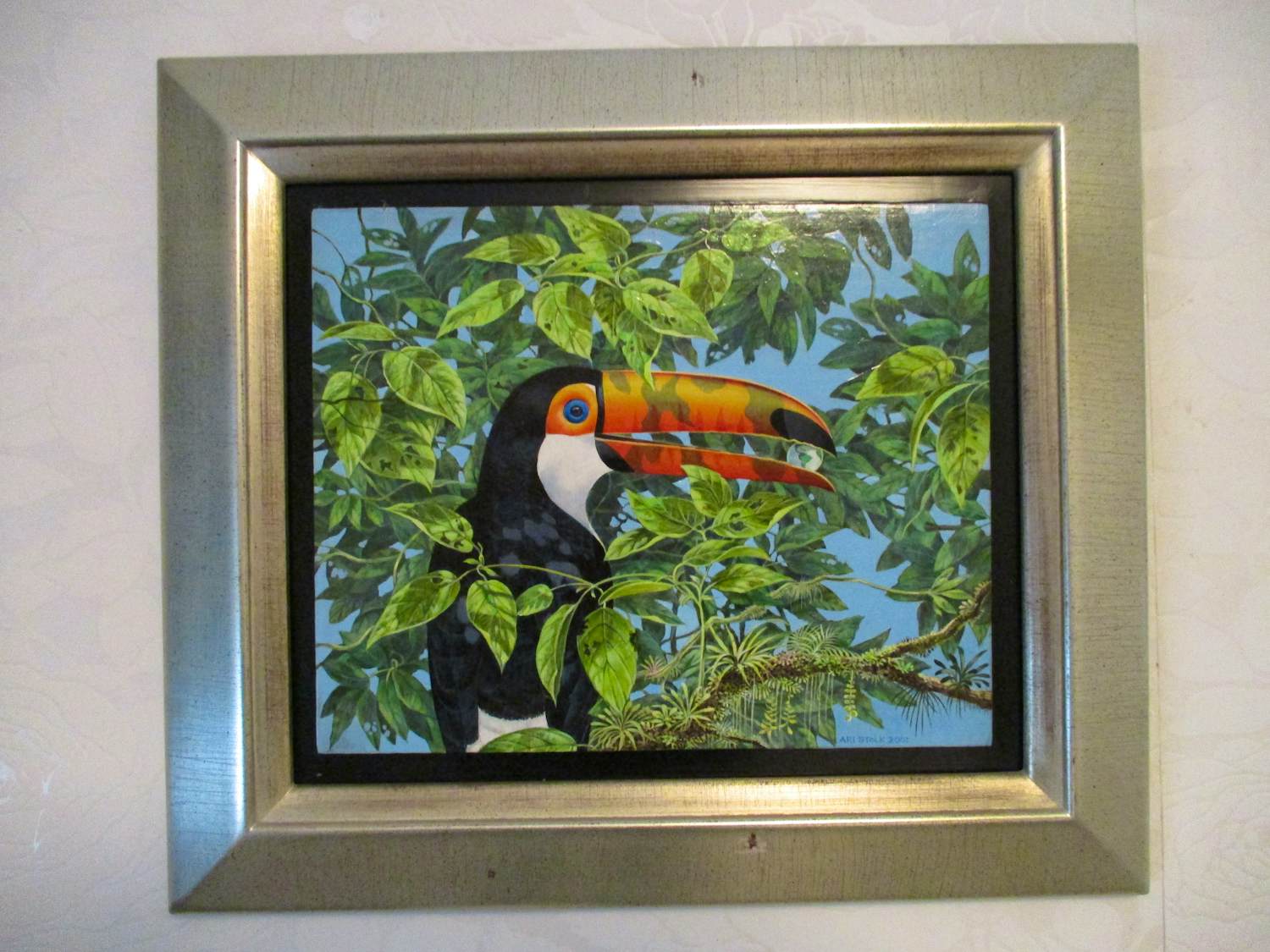 Ari Stolk - REUZENTOEKAN - Ramphastos Toco kopen? Bied vanaf 339!