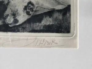 Willem Hendrik Bik - 1915 - fraaie Epr. d'Artiste droge naald Ets "Konijn" potloodgesigneerd kopen? Bied vanaf 25!