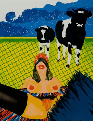 Jan Cremer - Complete portfolio map met 6 gesigneerde litho's - 1975 kopen? Bied vanaf 1799!