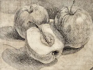 Bertus Voortman - een hele mooie droge naald Ets "appelen" in zeer kleine oplage (4) gemaakt kopen? Bied vanaf 37!