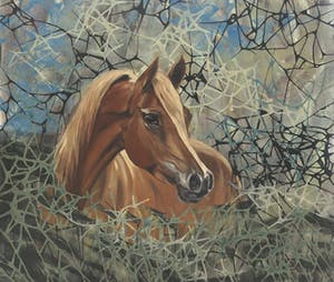 Valentin Bakardjiev - Horse - In onnavolgbare fluweelzachte kleurstelling - Nieuwwaarde €4.500,- kopen? Bied vanaf 1!