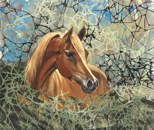 Valentin Bakardjiev - Horse - In onnavolgbare fluweelzachte kleurstelling - Nieuwwaarde €4.500,- verkocht voor € 1!