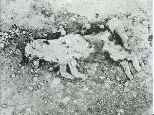 Roland Topor - TOPOR PANIC kopen? Bied vanaf 55!