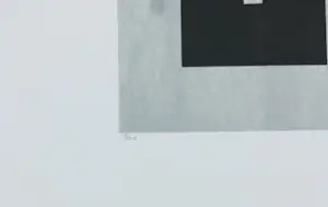 Bert Loerakker - Zeefdruk op papier, Stilleven III - Ingelijst kopen? Bied vanaf 75!