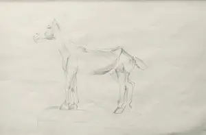 Alida van Houten - Tekenmap (24 tekeningen) kopen? Bied vanaf 450!