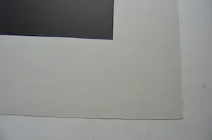 Niet of onleesbaar gesigneerd - Gesigneerd; J.P. MINOT. kopen? Bied vanaf 1!