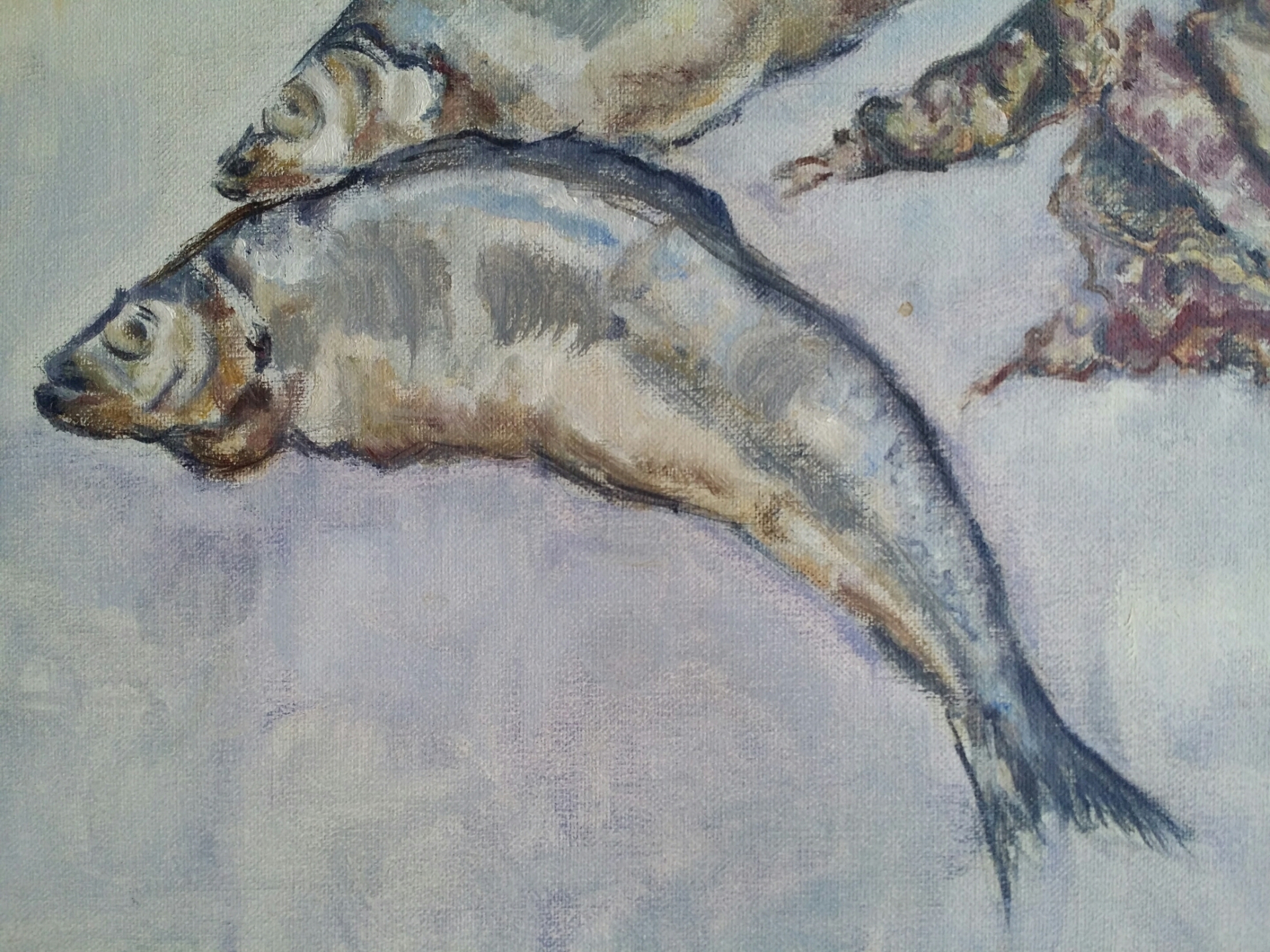 Niet of onleesbaar gesigneerd - Stilleven met vissen. Olieverf. kopen? Bied vanaf 1!