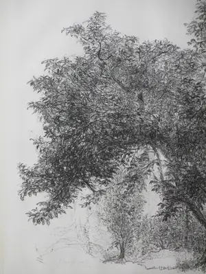 Jaap Kruijff - Landschap met volle boom - Litho kopen? Bied vanaf 25!