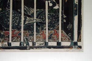 Toon Wegner - Duiven kopen? Bied vanaf 85!