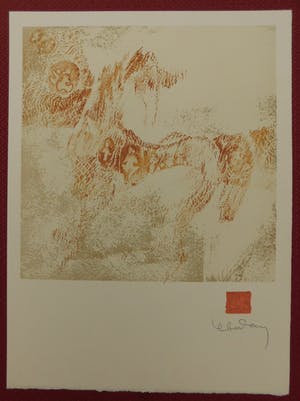 Dang Lebadang - Les Zèbres 1 kopen? Bied vanaf 15!