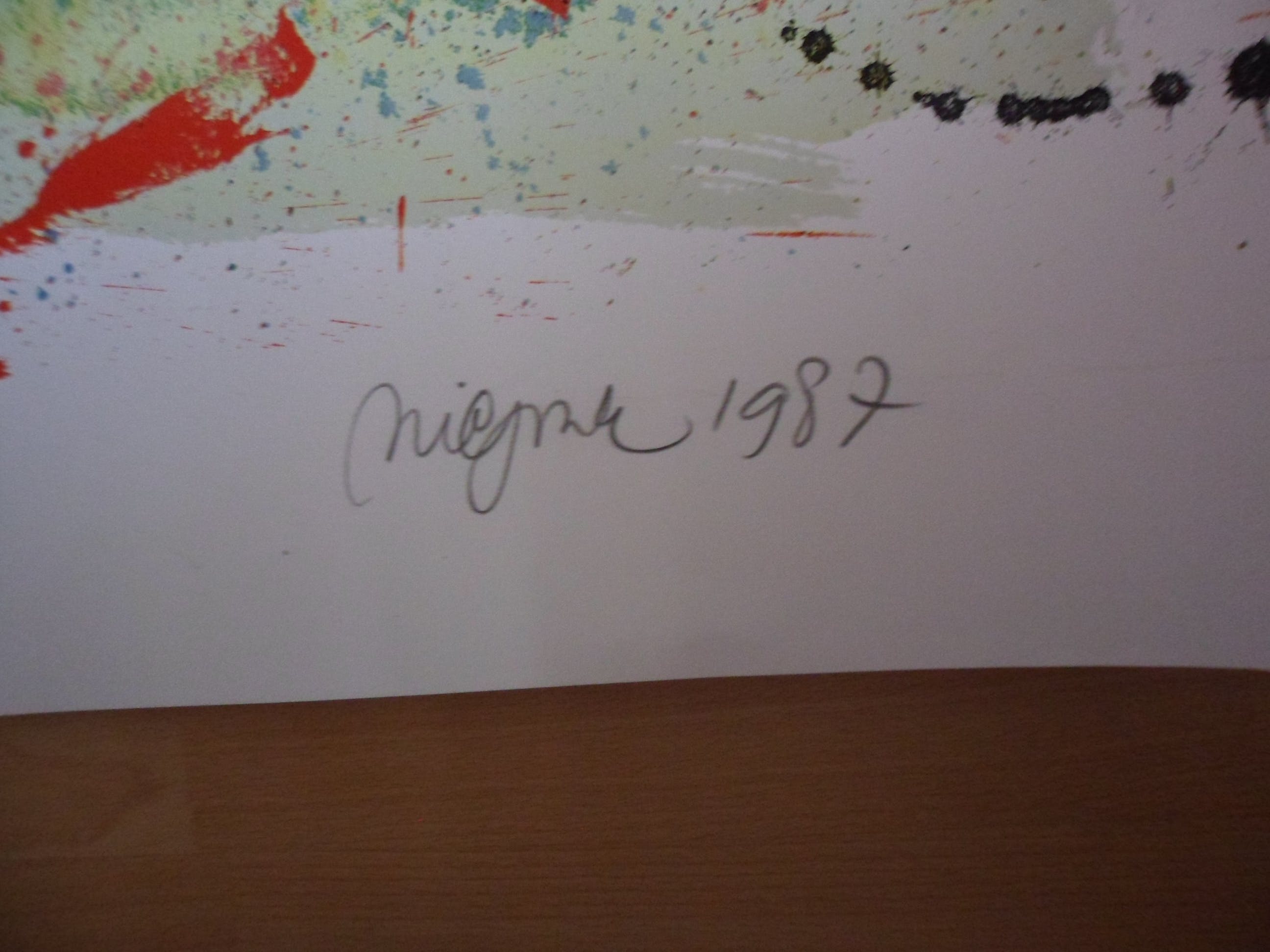 Nic Jonk - Zeefdruk, "Pacific Ocean 1" . kopen? Bied vanaf 80!