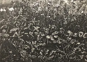 Simon Koene - Groot Hollands landschap kopen? Bied vanaf 135!