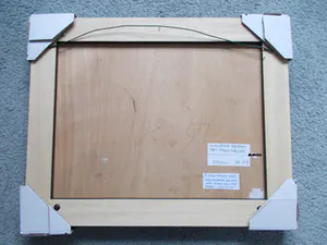 Ari Stolk - Invallende eenden met stads-skyline kopen? Bied vanaf 375!