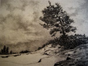 Dirk Harting - Meesterlijk Etser - Willink van Collenprijs 1913 - "Duinlandschap" gesigneerd kopen? Bied vanaf 10!